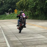 castro250z