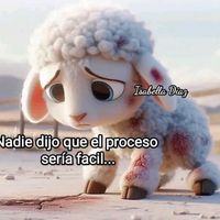 estelaajquiy