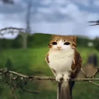 Never see me again slowed