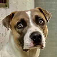 original sound - terryble05