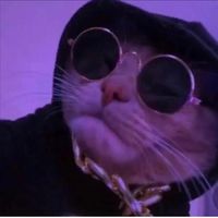 vonzchqr