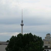 salzsteinalbert