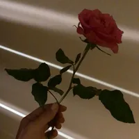 original sound - rolitas_2660