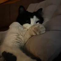 original sound - _valeeev._