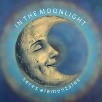 inthemoonlight______