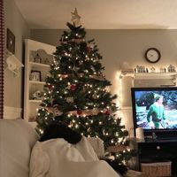 Spooky Scary Skeletons