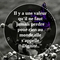 original sound - reine.455