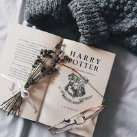 hp_editing.byfelicity