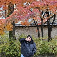 original sound - Karntgwt