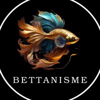 original sound - Bettanisme
