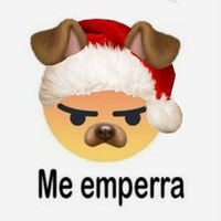 puchais4