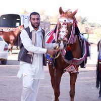 eslam.asokne11
