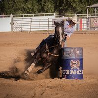 _sydney_johnson_