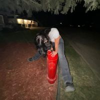 lexi..penny