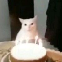 um_angolano_qualquer16