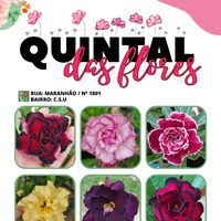 quintaldasflores.sena