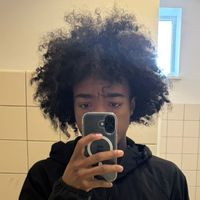 razzi_flics