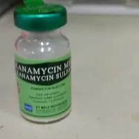 original sound - anaknyajilahjido