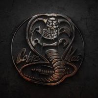 cobrakai_5342