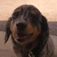 original sound - north_asteroid