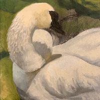 thank you for being so beautiful