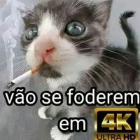sla._bdc