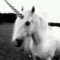 unicorrnblast
