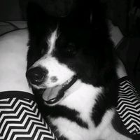 rotinasdamaggie