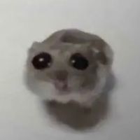 glitterwawa