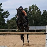 karis_the_equestr