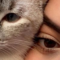 agathasouza5378