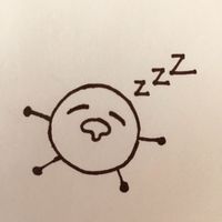 hcfsasdiary
