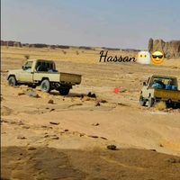 hass_a_n11