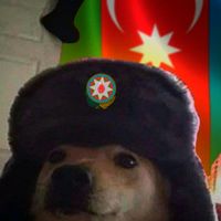 orijinal ses