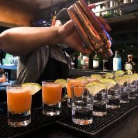 el_ingebartender