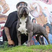 la_cosa_es_organica_