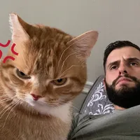 original sound - elloboooo