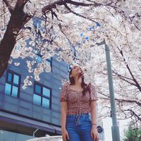 เสียงต้นฉบับ - YumiYumiki1342