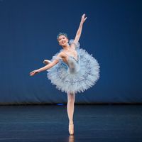 barbielovesballet