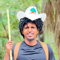 original sound - obsaabdiisaa30
