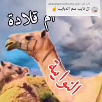 user6934523181800