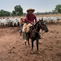 original sound - joo.vitor.nunes414