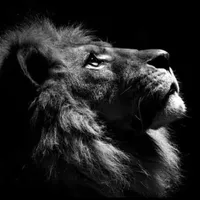 original sound - khanafg001