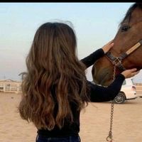 h_sharafany