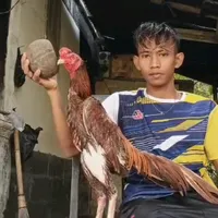 original sound - umargideonbf