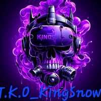 kingsnowvr