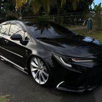 nano_customs