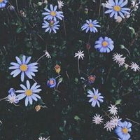 romancereader16