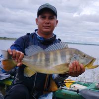 danilopedreiro1