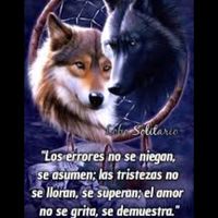 fracesyreflexiones3